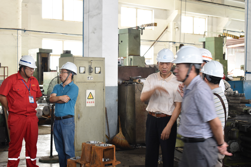 China Carbon Industry Association Members of The Sixth Session Third General Assembly Visit Our Company