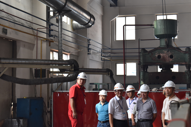 China Carbon Industry Association Members of The Sixth Session Third General Assembly Visit Our Company