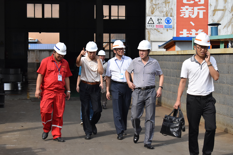 China Carbon Industry Association Members of The Sixth Session Third General Assembly Visit Our Company