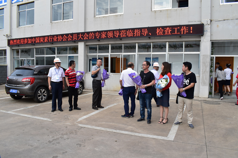 China Carbon Industry Association Members of The Sixth Session Third General Assembly Visit Our Company